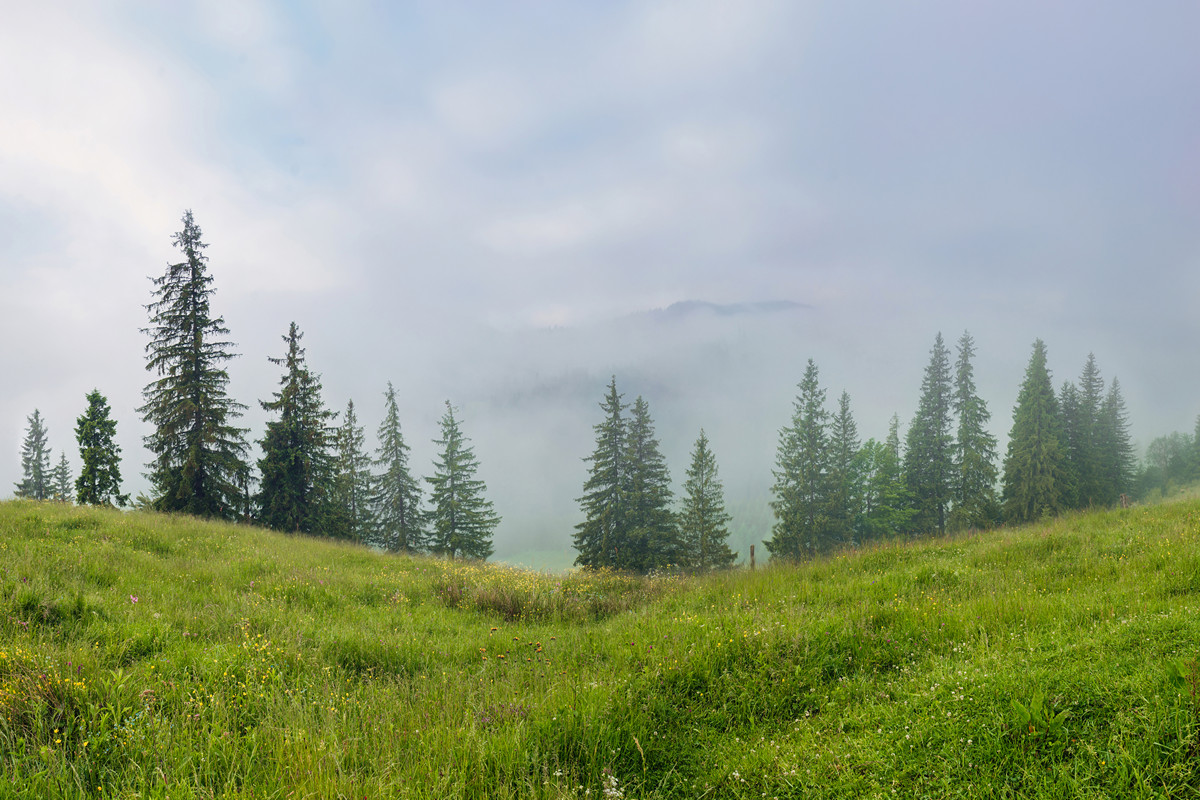 Foggy mountains valley in the morning