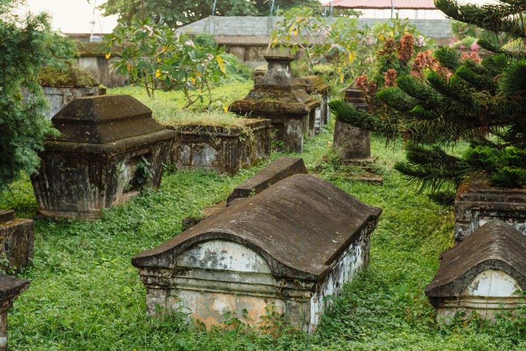 Kochi-026