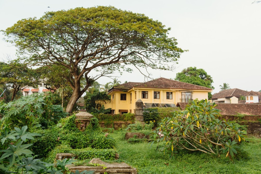Kochi-027