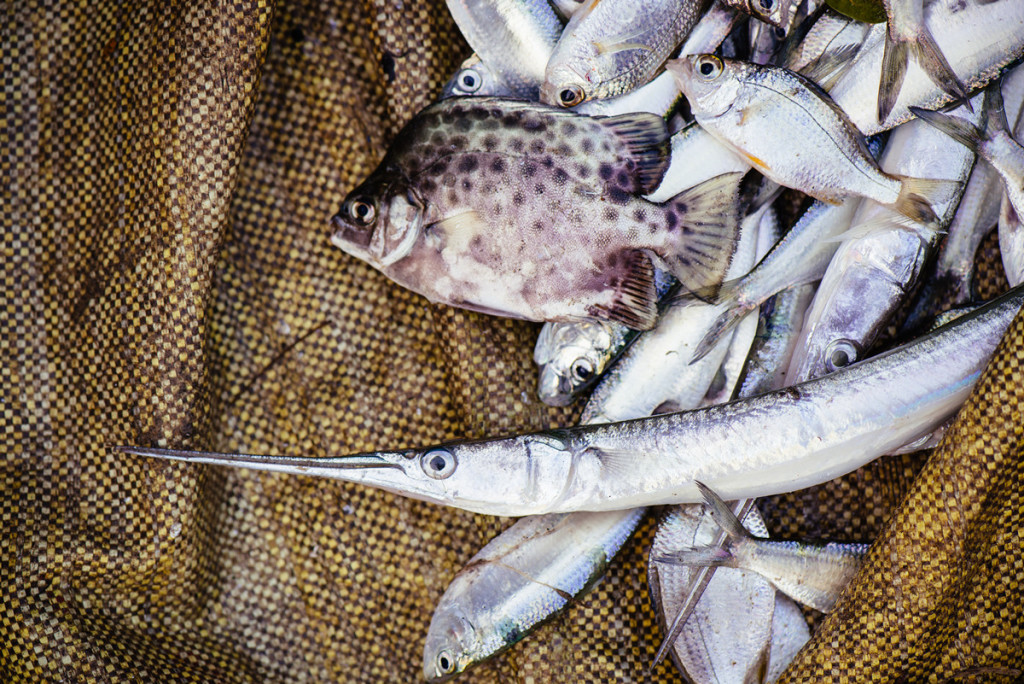 Морські дари