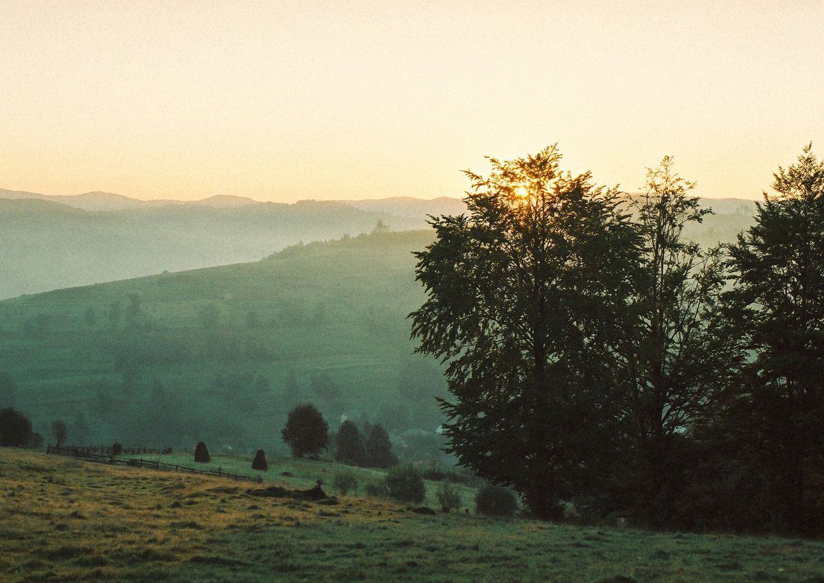 borzchava03