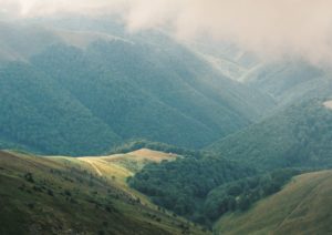 Боржава