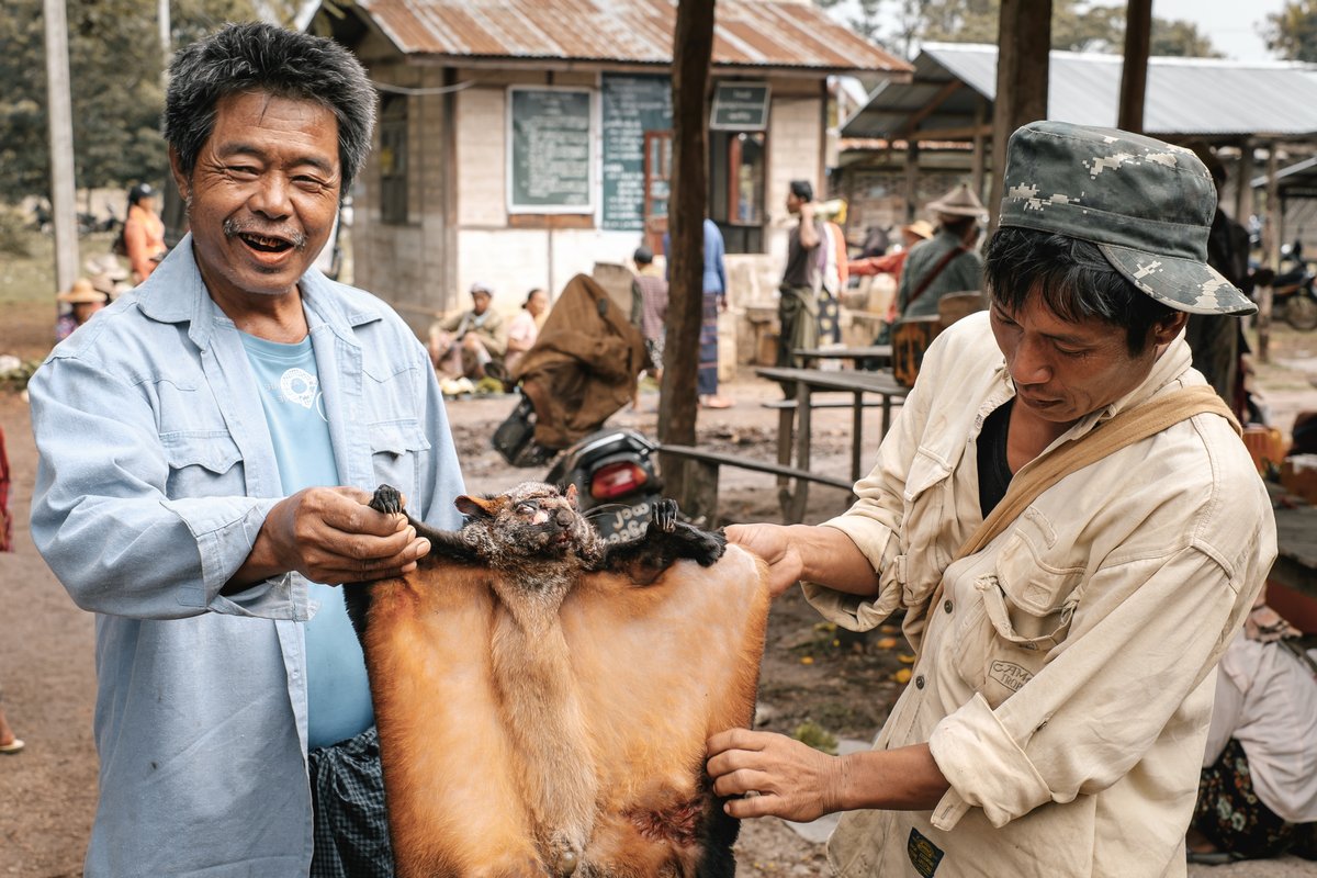 Loikaw, Myanmar - May 25, 2016: Traditional scene on Deenawso market in Myanmar. Group of people bargaining and selling hunted wild animals