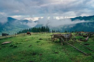 Звичайний туманний ранок біля с. Зелене